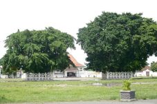 Beringin Keraton Terbakar,...