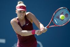 Lisicki Raih WTA Shot...