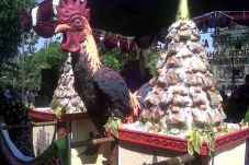 Dua Gunungan Ayam Goreng...