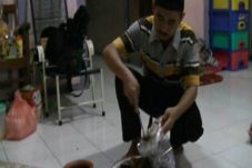 Momoh, Makanan Penambah...