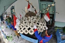 Tanpa Campur Tangan...