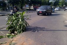 Jalan Amblas Ini Hanya...