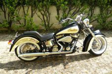 Indian Tipe Internasional...