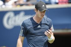 Murray Masih Punya Peluang