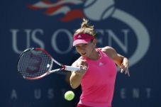 Pertemuan Pertama Halep...