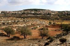 Rampas Tanah Palestina,...