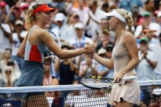 Pecundangi Sharapova,...