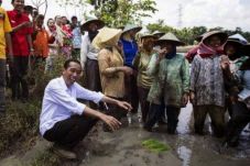 Jokowi Diminta Perhatikan...