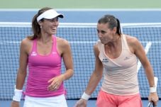 Hingis Jaga Asa Angkat...