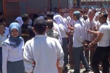 Puluhan Siswi Tawuran