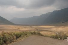 Kebakaran Savana Bromo...