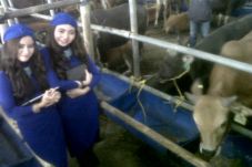 Gadis-gadis Cantik Ini...