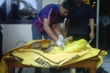 Penemuan Tengkorak Manusia,...
