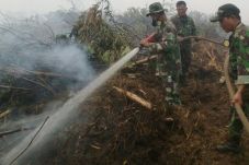 Ketebalan Lahan Gambut...