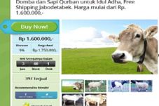 Groupon Tawarkan Hewan...