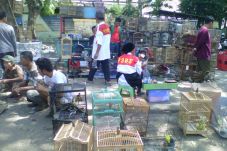 Penertiban PKL Jalan...