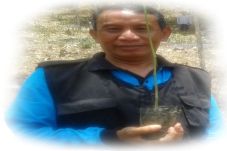 Untung Sutrisno, Penghijau...