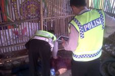 Tragis, Korban Tiger...
