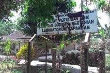 Disita, Lahan UGM Dilarang...
