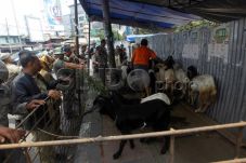 DKI Akan Bangun Showroom...