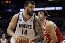 Wolves Protektif Jaga...