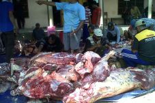 Muhammadiyah Burneh...