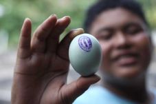 Telur Asin Kedaluwarsa...