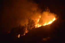 Hutan di Perbukitan...