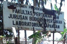 Dosen UGM Diminta Transparan...