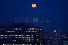 Blood Moon, PKS Minta...
