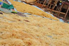 Sektor Hulu Rumput Laut...