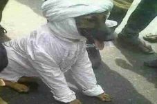 Beredar Foto Anjing...
