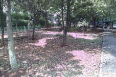 Dituding Nyampah di...