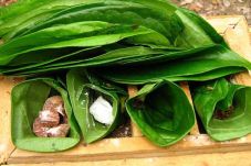 Larangan Menyirih di...