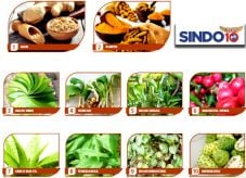 10 Tanaman Paling Bermanfaat...