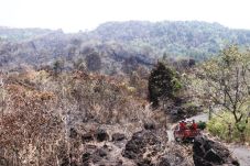 Hutan Gunung Haruman...