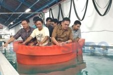 Perahu Plastik Dukung...