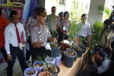 Anggota Miliki 14 Pot...