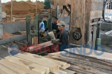 Kayu Kulonprogo Belum...