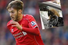 Punggawa Liverpool Diserang...