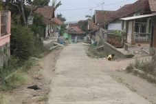 Profesi Turun-temurun,...