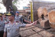 Peredaran Kayu Ilegal...