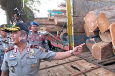 14 Truk Kayu Ilegal...