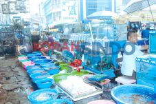 Peternak dan Penjual...