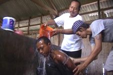 Jamiin Jadi Teman Setia...