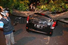 Parkir di Jalan, Xenia...