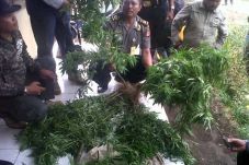 Polisi dan TNI Sisir...