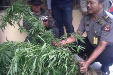 Perhutani Duga Ada Ladang...