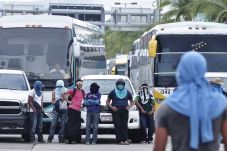 Protes Pembakaran 43...