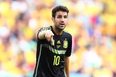 Del Bosque Angkut Fabregas...